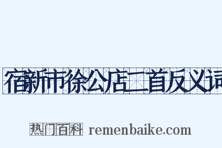 宿新市徐公店二首反义词是什么意思的图片